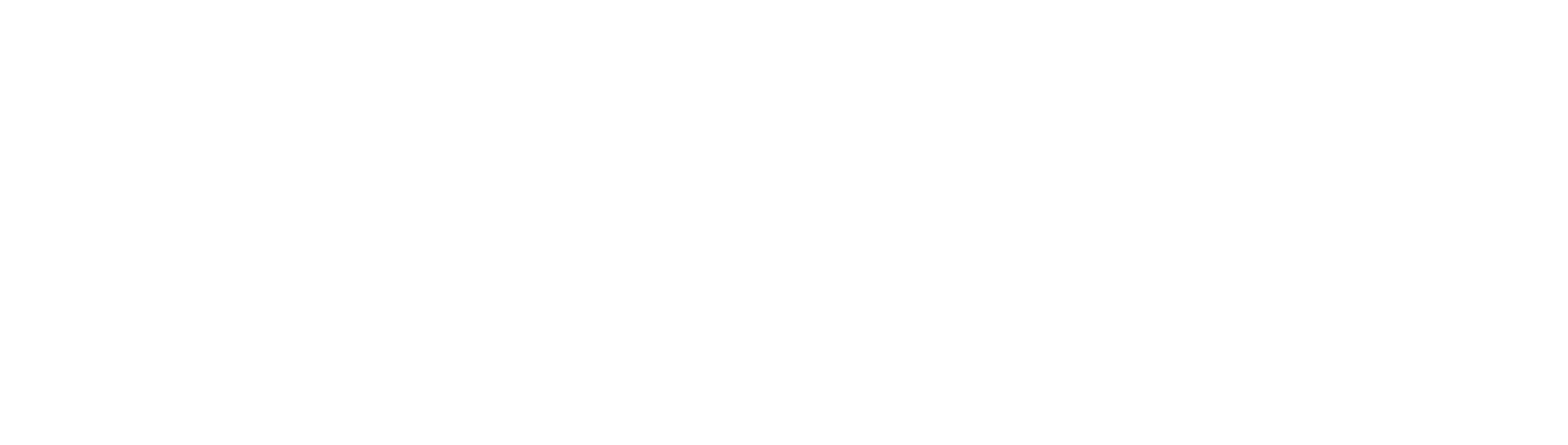 Cinque — official horizontal logo